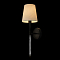 Светильник LOFT IT 10308W Black