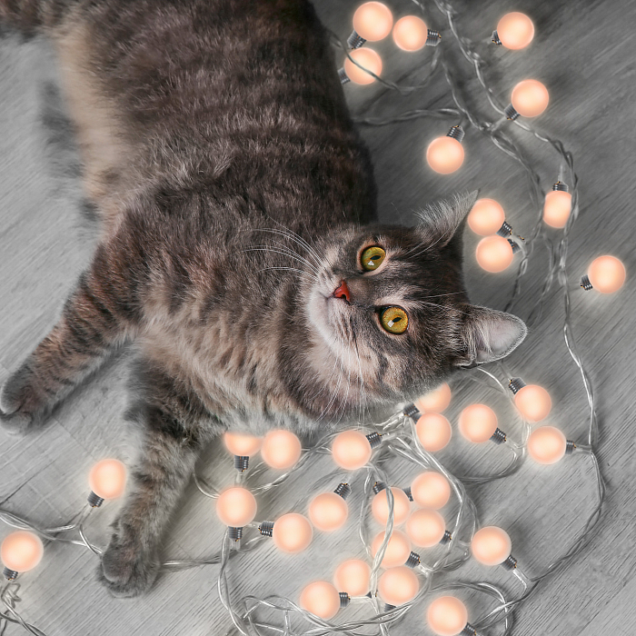 Уличный светильник Gauss GS034