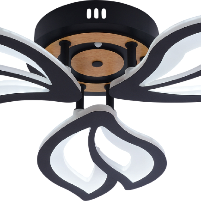 Rivoli 6195-703